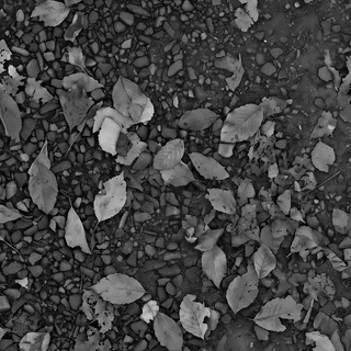 Autumn leaf-covered gravel 01 Height map
