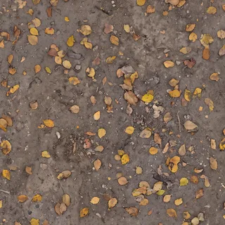 Autumn leaf litter over compacted earth 01 Diffuse / Albedo map