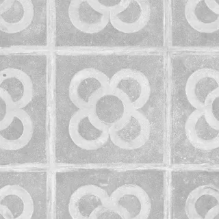 Barcelona Flower Pavers Roughness map