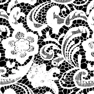 Black Guipure Lace Opacity / Alpha map