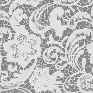 Black Guipure Lace Roughness map