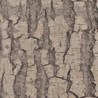Deep fissured bark 02 Diffuse / Albedo map