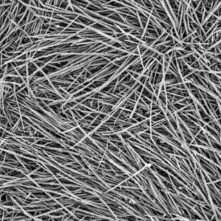 Frosted dormant grass 01 Height map