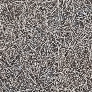 Frosted dormant grass 02 Diffuse / Albedo map