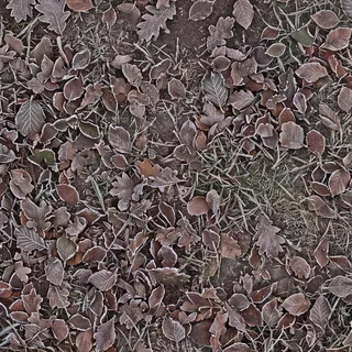 Frosted winter leaf litter 01 Diffuse / Albedo map
