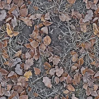 Frosted winter leaf litter 02 Diffuse / Albedo map