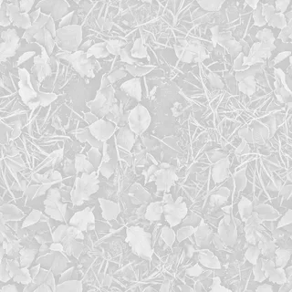 Frosted winter leaf litter 02 Roughness map