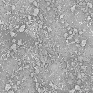 Frozen muddy ground 01 Roughness map