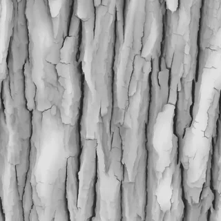 Grey lime tree bark 02 Height map