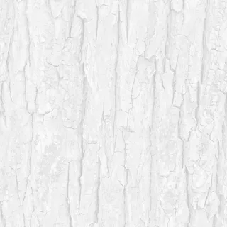 Grey lime tree bark 02 Roughness map