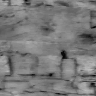 Hand-Hewn Timber Height map
