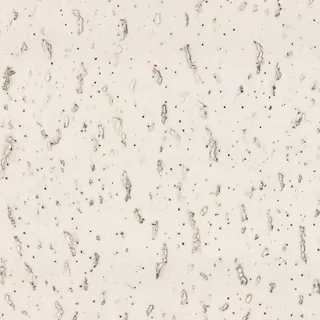 Ivory fissured acoustic ceiling material 02 Diffuse / Albedo map