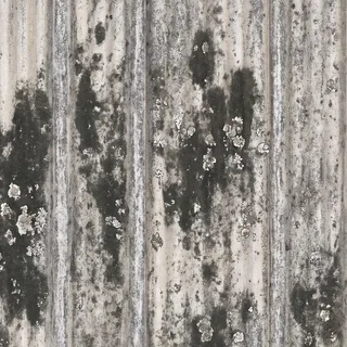 Lichen-grey corrugated roof 02 Diffuse / Albedo map