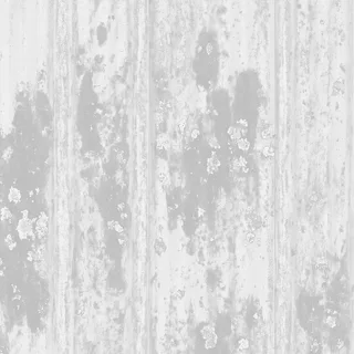 Lichen-grey corrugated roof 02 Roughness map