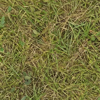 Mixed grassy verge 02 Diffuse / Albedo map