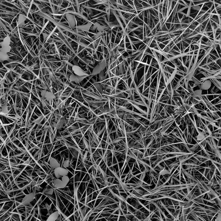 Mixed grassy verge 02 Height map
