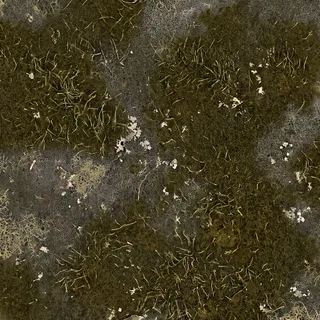 Moss and algae growth 02 Diffuse / Albedo map