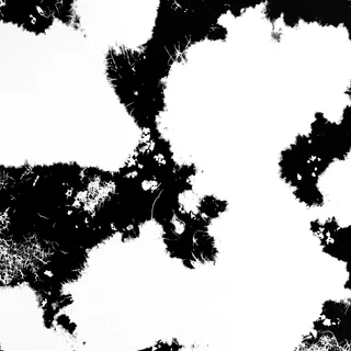 Moss and algae growth 02 Growth Mask map