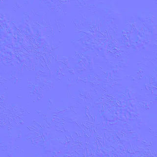 Moss and algae growth 02 Normal map
