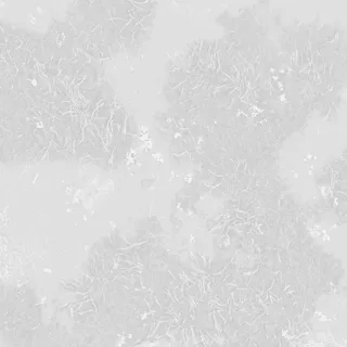 Moss and algae growth 02 Roughness map