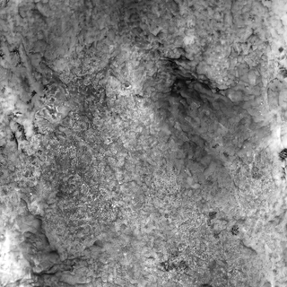 Moss-stained dark stone 02 Height map