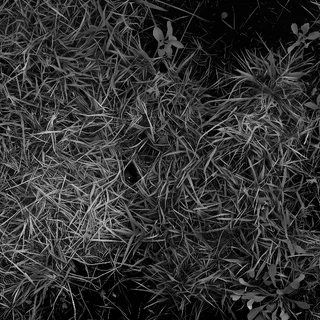 Patchy grass and earth 01 Height map