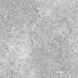 Patchy grass and earth 01 Roughness map