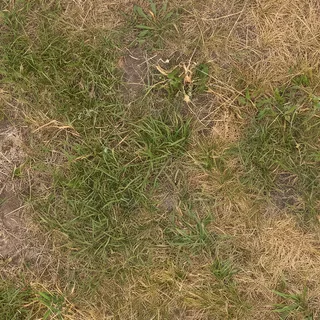 Patchy grass and earth 02 Diffuse / Albedo map