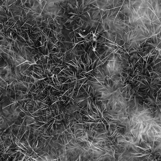 Patchy grass and earth 02 Height map