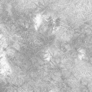 Patchy grass and earth 02 Roughness map