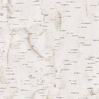 Peeling white birch bark 02 Diffuse / Albedo map