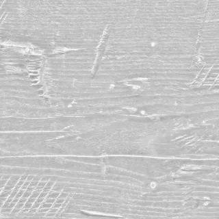 Raw Hewn Wood Roughness map