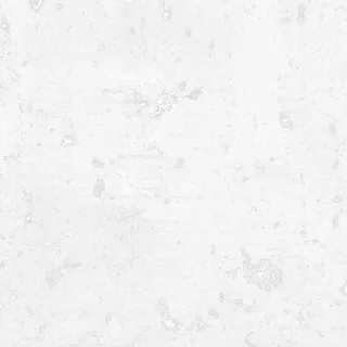 Scuffed grey cement wall 02 Roughness map