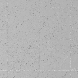 Speckled ivory ceramic floor tiles 02 Roughness map