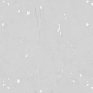 Weathered mint wall render 01 Roughness map