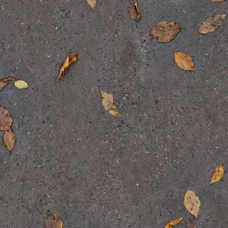 Wet concrete with autumn leaves 01 Diffuse / Albedo map