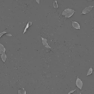 Wet concrete with autumn leaves 01 Height map