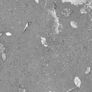 Wet concrete with autumn leaves 01 Roughness map