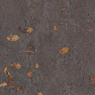 Wet concrete with autumn leaves 02 Diffuse / Albedo map