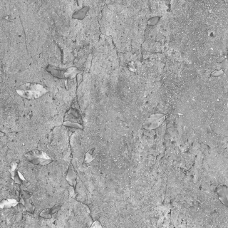 Wet concrete with autumn leaves 02 Roughness map