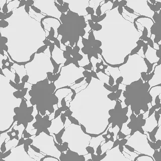 White Floral Lace Roughness map