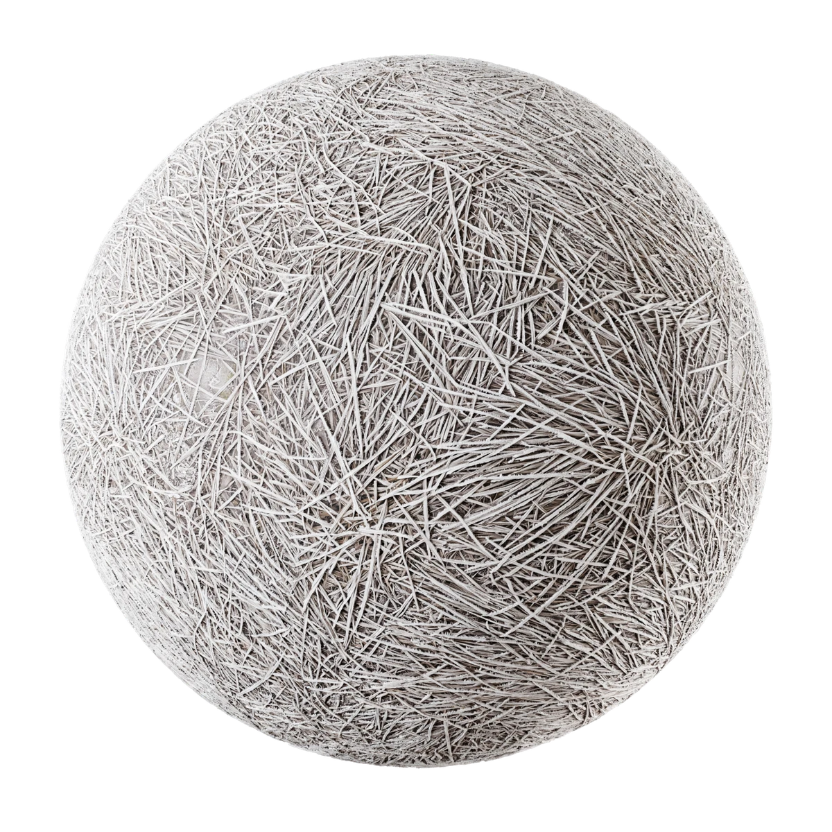 Frosted dormant grass 01