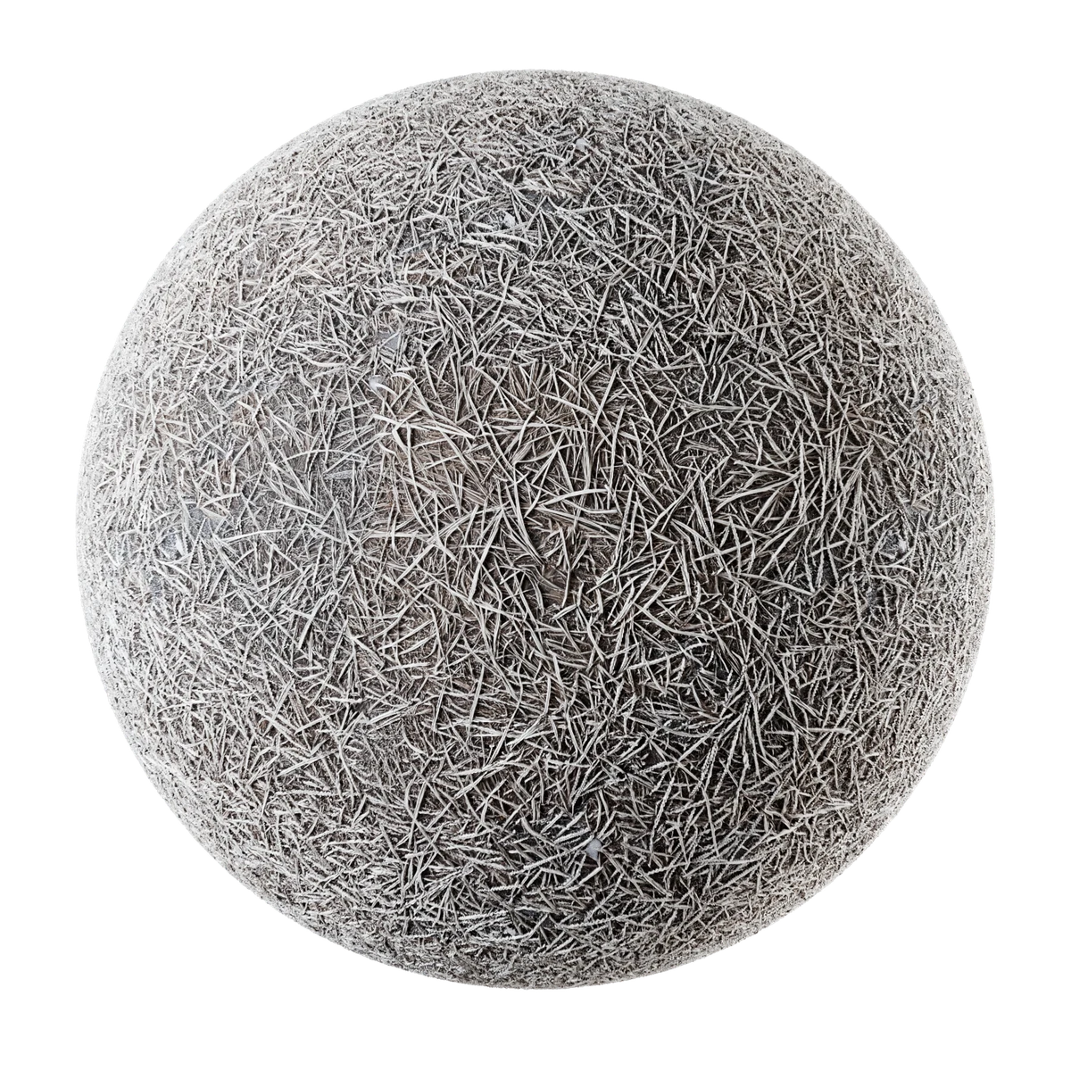 Frosted dormant grass 02