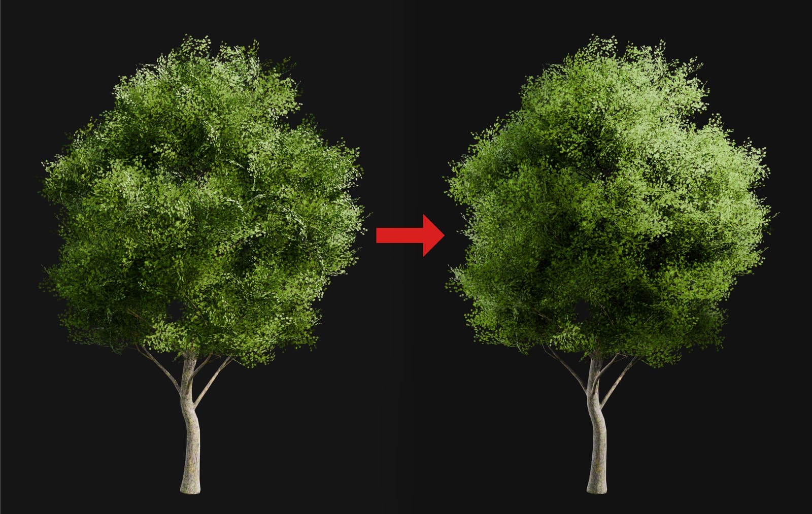 Softer Plant Cards in Blender. Before on the left, after on the right.